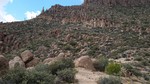 photo thumbnail #7