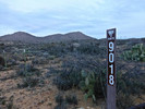 photo thumbnail #1