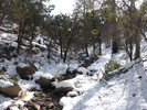 photo thumbnail #12