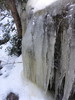 photo thumbnail #14