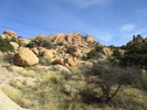 photo thumbnail #3