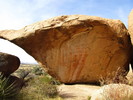 photo thumbnail #6