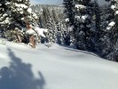 photo thumbnail #4