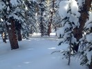 photo thumbnail #11