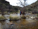 photo thumbnail #12