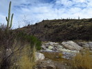 photo thumbnail #13