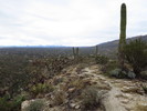 photo thumbnail #14