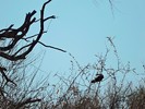 photo thumbnail #14