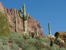 photo thumbnail #6