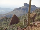 photo thumbnail #9