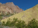 photo thumbnail #11