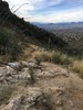 photo thumbnail #2