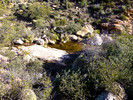 photo thumbnail #7