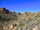photo thumbnail #12