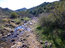 photo thumbnail #14