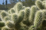 photo thumbnail #6