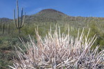 photo thumbnail #7