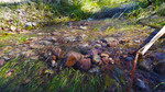 photo thumbnail #4