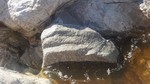 photo thumbnail #11