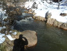 photo thumbnail #2
