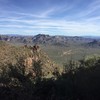 photo thumbnail #2