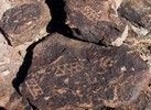 photo thumbnail #12