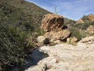 photo thumbnail #15