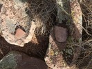 photo thumbnail #8