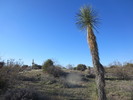 photo thumbnail #1