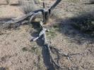 photo thumbnail #2