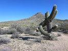 photo thumbnail #9