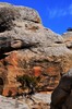 photo thumbnail #11