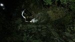 photo thumbnail #15
