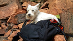 photo thumbnail #12