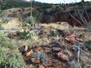 photo thumbnail #6