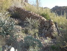 photo thumbnail #2