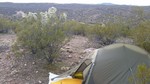 photo thumbnail #12