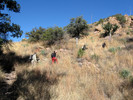 photo thumbnail #2