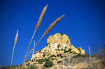photo thumbnail #5