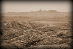 photo thumbnail #15