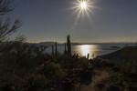photo thumbnail #10