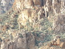 photo thumbnail #13