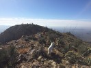 photo thumbnail #4