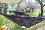 photo thumbnail #8
