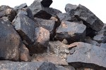 photo thumbnail #14