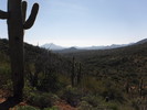 photo thumbnail #5