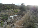 photo thumbnail #1