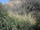 photo thumbnail #13