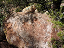 photo thumbnail #5