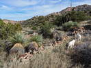 photo thumbnail #13